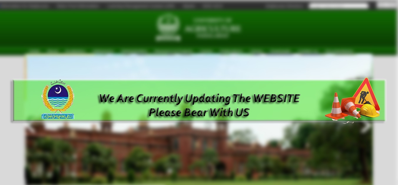 We are Updating the website. Please Bear with US.